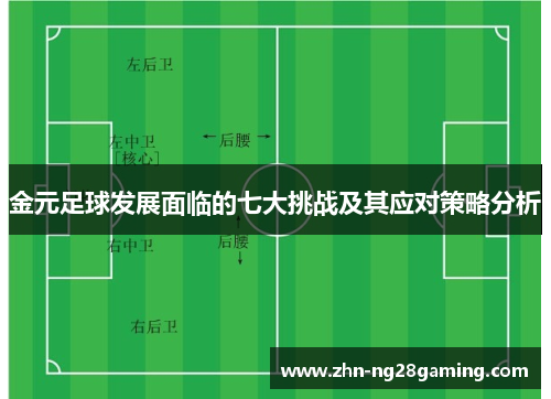 金元足球发展面临的七大挑战及其应对策略分析