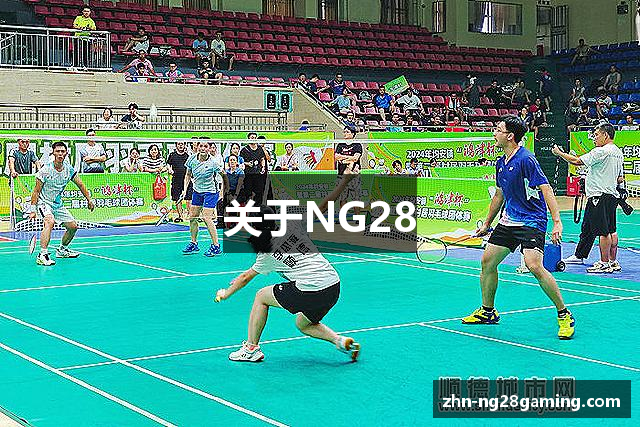 关于NG28